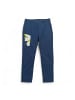 Jack Wolfskin Wanderhose Hideaway in Blau