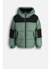Coccodrillo Winterjacke in grün