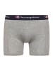 Champion Boxershorts 2pk Boxer in Light Grey Melange 3390