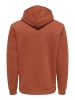 ONLY & SONS Kapuzenpullover in Sequoia