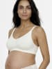 mama licious 2er-Pack BH in Misty Rose