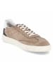 Bugatti Low Sneaker in taupe
