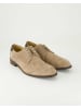 DIGEL Klassische Schnürschuhe in Beige