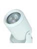 Licht-Erlebnisse Spot Strahler (B)7.6 x (H)12.8 cm in Weiß