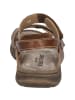 Josef Seibel Sandale Brenda 06 in brandy