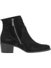 Paul Green Stiefeletten in BLACK