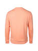 Scotch & Soda Sweatshirt in Koralle