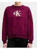 Calvin Klein Sweatshirt in bunt