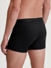Calida Boxer Brief in schwarz
