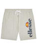 ellesse Shorts in Grau