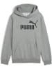 Puma Hoodie "ESS No.1 Logo Hoodie FL B" in Grau