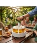 LUXENTU 12er Set Kölschkranz-Set mit Gläsern Stange 0,2 l transparent in transparent