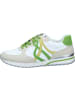 Gabor Sneakers Low in weiss/steam/green