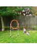 Pawhut Hunde Agility Sprungring Weiß + Orange PE-Kunststoff