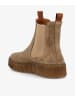 phenumb Schnürschuh in beige