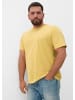 s.Oliver T-Shirt in 13D1_zitrone