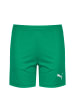 Puma Trainingsshorts TeamGOAL 23 Knit in grün