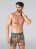 Muchachomalo 3er-Set: Boxershort in Mehrfarbig - für Herren