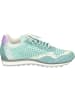 Cetti Sneakers Low in aqua