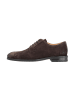 JOOP! Lace Up 'Velluto Misto Kleitos in Dunkelbraun'