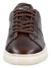 GANT Footwear Sneaker in Dunkelbraun