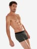 HOM Retro Pants Tom 2 in Black/Black print