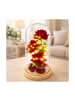 Wisam® Ewige Rose Glaskuppel LED Rot Deko 21,5 cm