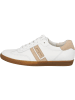 Paul Green Schnürschuhe in white/sabbia