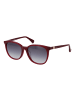 Max Mara Damen Sonnenbrillen Panto Burgunder