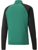 Puma Pullover "TeamLIGA 1/4 Zip Top" in Grün