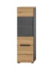 ebuy24 Vitrinenschrank Canu Eiche 36 x 33 cm