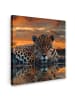 MuchoWow Leinwand bilder Jaguar (BxH)