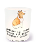 Mr. & Mrs. Panda Windlicht Glas Langhaar Collie Moment mit Spruch in Transparent