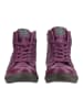 Andrea Conti Stiefelette in Pflaume