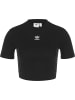 adidas adidas T-Shirts in black