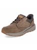 Skechers Schnürhalbschuh in brown