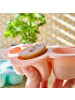 Beaba Silikon-Gefrierform Multiportions Blume 6 in rosa