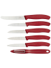 Victorinox Messer 861677 in Schwarz