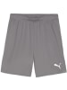 Puma Sporthose "TeamGoal Shorts" in Grau
