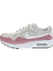 Nike Air Max SC Sneaker Grau