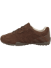 Geox Sneaker low U Snake A in dunkelbraun