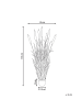 Beliani Kunstpflanze BULRUSH in Grün/Braun - (W) 30 x (H) 135 x (L) 30 cm