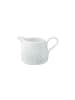 Seltmann Weiden Milchkännchen Life Fashion 260 ml in Green Chic