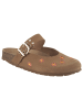 Aniston SHOES Clog in hellbraun
