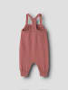 name it Overall in Withered Rose1