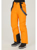 Whistler Skihose Fairfax in 5128 Turmeric