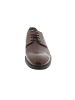 LLOYD MILAN Business Schuh Braun