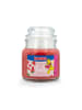 Haribo Haribo™ 3er Duftkerzen-Geschenkset "Island Mix"