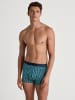 Calida New Boxer in philo green