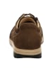 Finn Comfort Komfort Schnürschuhe in Braun